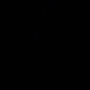 Meet your Posher, Cris